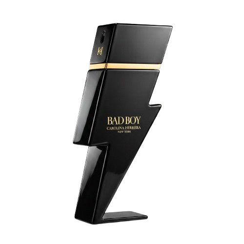 Bad Boy Le Parfum