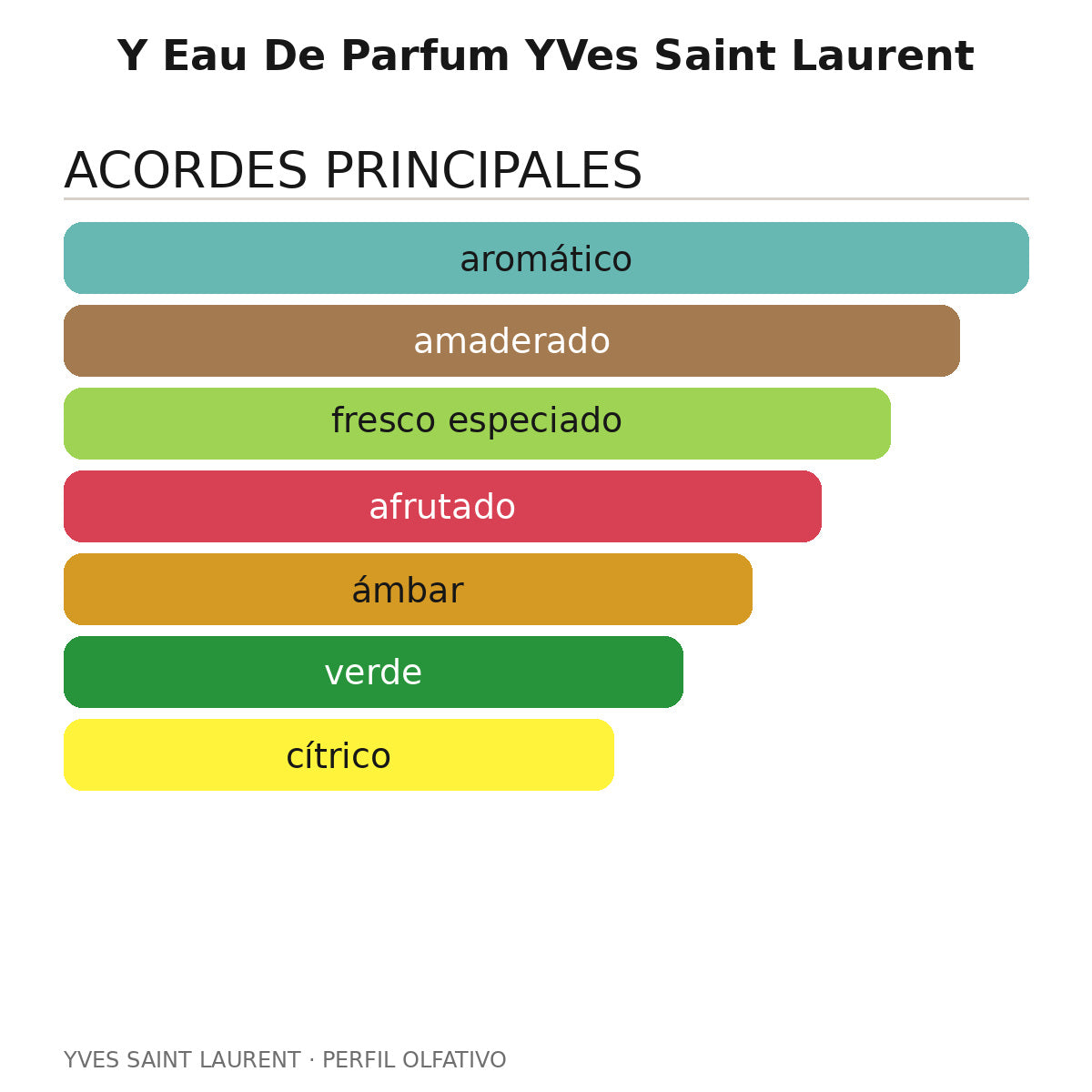 Yves Saint Laurent Y Eau de Parfum - 100 ml