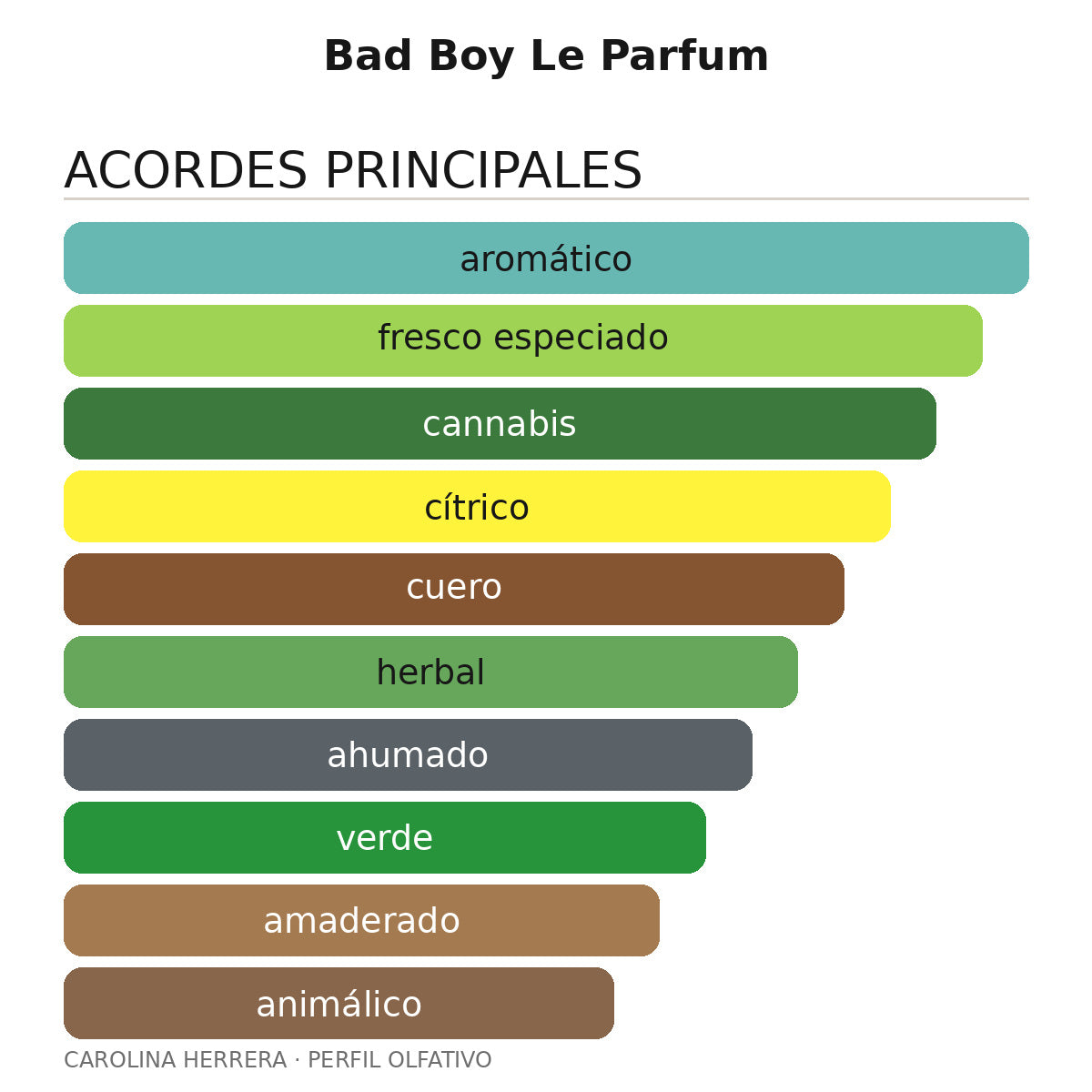 Bad Boy Le Parfum